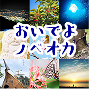 魅力発信ポータルサイトの写真